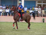 /international/Malaysia/2007SultansCup/Gallery/start_images/thumbnails/IMG_7489.jpg