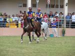 /international/Malaysia/2007SultansCup/Gallery/start_images/thumbnails/IMG_7496.jpg