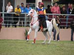 /international/Malaysia/2007SultansCup/Gallery/start_images/thumbnails/IMG_7506.jpg