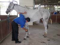 /international/Malaysia/2010SultansCup/gallery/Arrival/thumbnails/PB040016.jpg