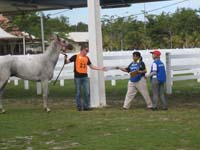 /international/Malaysia/2010SultansCup/gallery/bev2/thumbnails/IMG_4467.jpg