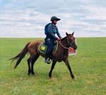 /international/Mongolia/2018GobiDesertCup/gallery/01/thumbnails/GD16.jpg