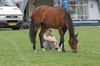 /international/Netherlands/2008Ermelo/gallery/02Fri/thumbnails/08ERM_063.jpg