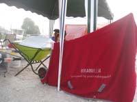 /international/Netherlands/2008Ermelo/gallery/04Sat/thumbnails/08ERM_262.jpg