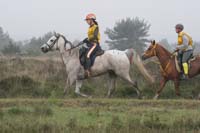 /international/Netherlands/2008Ermelo/gallery/04Sat/thumbnails/08ERM_295.jpg