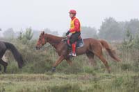 /international/Netherlands/2008Ermelo/gallery/04Sat/thumbnails/08ERM_301.jpg