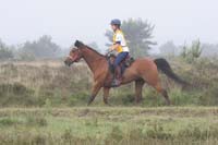/international/Netherlands/2008Ermelo/gallery/04Sat/thumbnails/08ERM_305.jpg