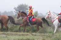 /international/Netherlands/2008Ermelo/gallery/04Sat/thumbnails/08ERM_363.jpg