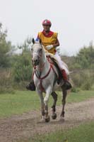 /international/Netherlands/2008Ermelo/gallery/05Sat/thumbnails/08ERM_420.jpg