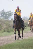 /international/Netherlands/2008Ermelo/gallery/05Sat/thumbnails/08ERM_470.jpg