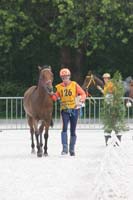 /international/Netherlands/2008Ermelo/gallery/06Sat/thumbnails/08ERM_615.jpg