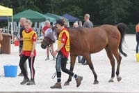 /international/Netherlands/2008Ermelo/gallery/06Sat/thumbnails/08ERM_626.jpg