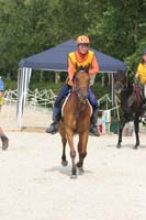 /international/Netherlands/2008Ermelo/gallery/06Sat/thumbnails/08ERM_634.jpg