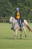 /international/Netherlands/2008Ermelo/gallery/07Sat/thumbnails/08ERM_663.jpg
