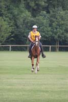 /international/Netherlands/2008Ermelo/gallery/07Sat/thumbnails/08ERM_693.jpg