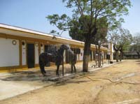 /international/Spain/2009AlAndalus/gallery/m26gallery/thumbnails/0903TDAA_002A.jpg