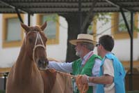 /international/Spain/2009AlAndalus/gallery/m26gallery/thumbnails/0903TDAA_058.jpg