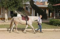 /international/Spain/2009AlAndalus/gallery/m26gallery/thumbnails/0903TDAA_063.jpg