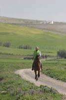 /international/Spain/2009AlAndalus/gallery/m27gallery/thumbnails/IMG_3034.jpg