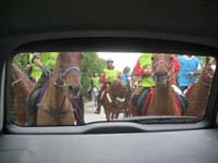 /international/Spain/2009AlAndalus/gallery/m27gallery/thumbnails/IMG_9965.jpg