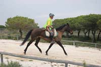 /international/Spain/2009AlAndalus/gallery/m28gallery/thumbnails/IMG_3577.jpg
