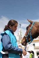 /international/Spain/2009AlAndalus/gallery/m28gallery/thumbnails/IMG_3729.jpg