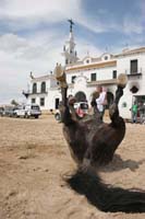 /international/Spain/2009AlAndalus/gallery/m28gallery/thumbnails/IMG_3809.jpg