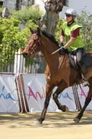 /international/Spain/2009AlAndalus/gallery/m30gallery/thumbnails/IMG_4746.jpg