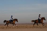 /international/UAE/2008AlNayhanLadiesChallenge/Gallery/ride_day/thumbnails/IMG_6977.jpg