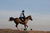 /international/UAE/2008AlNayhanLadiesChallenge/Gallery/ride_day/thumbnails/IMG_6984.jpg