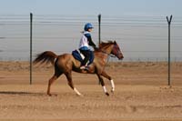 /international/UAE/2008AlNayhanLadiesChallenge/Gallery/ride_day/thumbnails/IMG_6996.jpg