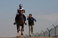 /international/UAE/2008AlNayhanLadiesChallenge/Gallery/ride_day/thumbnails/IMG_7068.jpg