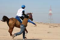 /international/UAE/2008AlNayhanLadiesChallenge/Gallery/ride_day/thumbnails/IMG_7159.jpg