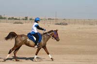 /international/UAE/2008AlNayhanLadiesChallenge/Gallery/ride_day/thumbnails/IMG_7163.jpg