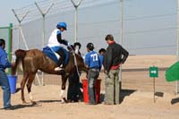 /international/UAE/2008AlNayhanLadiesChallenge/Gallery/ride_day/thumbnails/IMG_7228.jpg