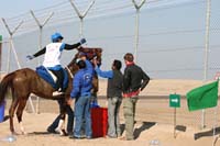 /international/UAE/2008AlNayhanLadiesChallenge/Gallery/ride_day/thumbnails/IMG_7230.jpg