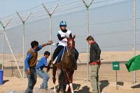/international/UAE/2008AlNayhanLadiesChallenge/Gallery/ride_day/thumbnails/IMG_7233.jpg
