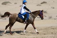 /international/UAE/2008AlNayhanLadiesChallenge/Gallery/ride_day/thumbnails/IMG_7245.jpg