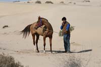 /international/UAE/2008AlNayhanLadiesChallenge/Gallery/ride_day/thumbnails/IMG_7262.jpg