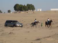 /international/UAE/2008AlNayhanLadiesChallenge/gallery_best/thumbnails/IMG_0265.jpg