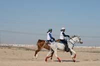 /international/UAE/2008AlNayhanLadiesChallenge/gallery_best/thumbnails/IMG_0416.jpg