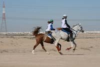 /international/UAE/2008AlNayhanLadiesChallenge/gallery_best/thumbnails/IMG_0417.jpg