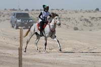 /international/UAE/2008AlNayhanLadiesChallenge/gallery_best/thumbnails/IMG_0445.jpg