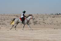 /international/UAE/2008AlNayhanLadiesChallenge/gallery_best/thumbnails/IMG_0447.jpg