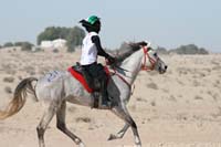 /international/UAE/2008AlNayhanLadiesChallenge/gallery_best/thumbnails/IMG_0448.jpg