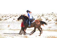 /international/UAE/2008AlNayhanLadiesChallenge/gallery_best/thumbnails/IMG_0473.jpg