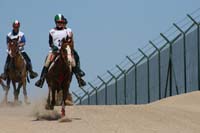 /international/UAE/2008AlNayhanLadiesChallenge/gallery_best/thumbnails/IMG_0555.jpg