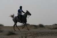 /international/UAE/2008DubaiWorldChallenge/Gallery/Group2/thumbnails/IMG_9315.jpg