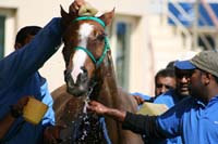 /international/UAE/2008DubaiWorldChallenge/Gallery/Group4/thumbnails/IMG_9794.jpg