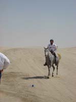 /international/UAE/2008PresidentsCup/Gallery/johntView/thumbnails/IMG_1050.jpg